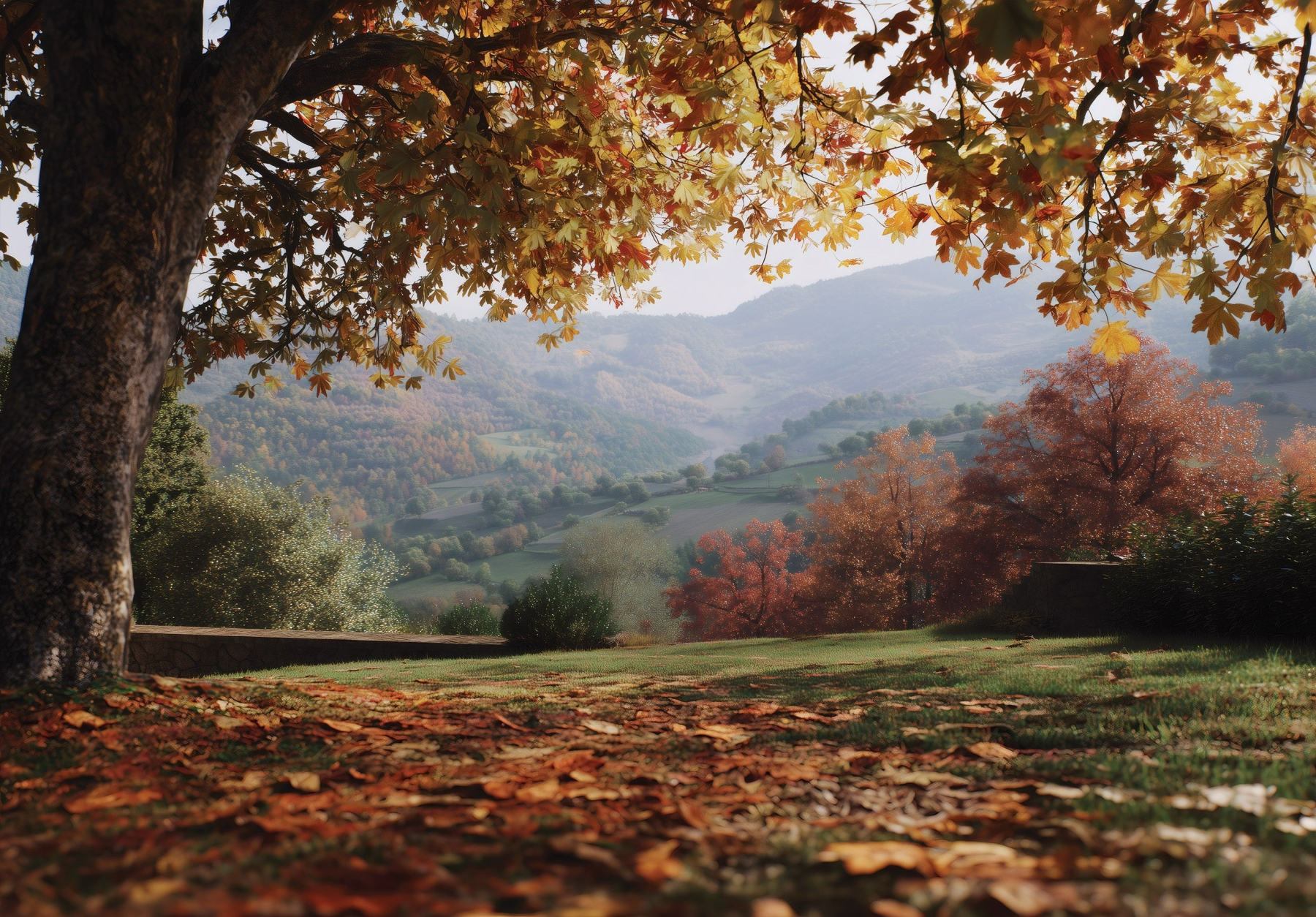 Фототапет Есенна панорама с дърво 