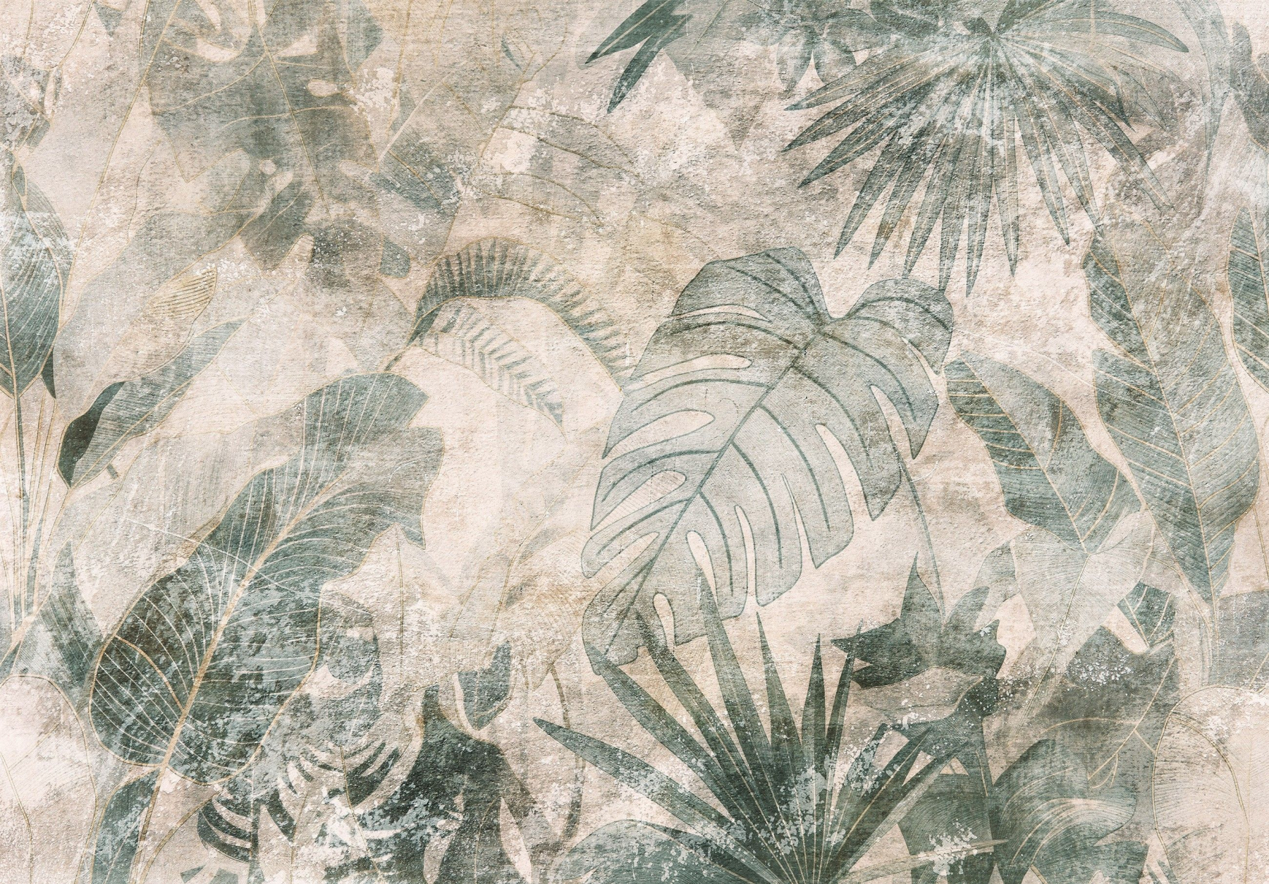 Фототапет Тропически листа върху текстура 