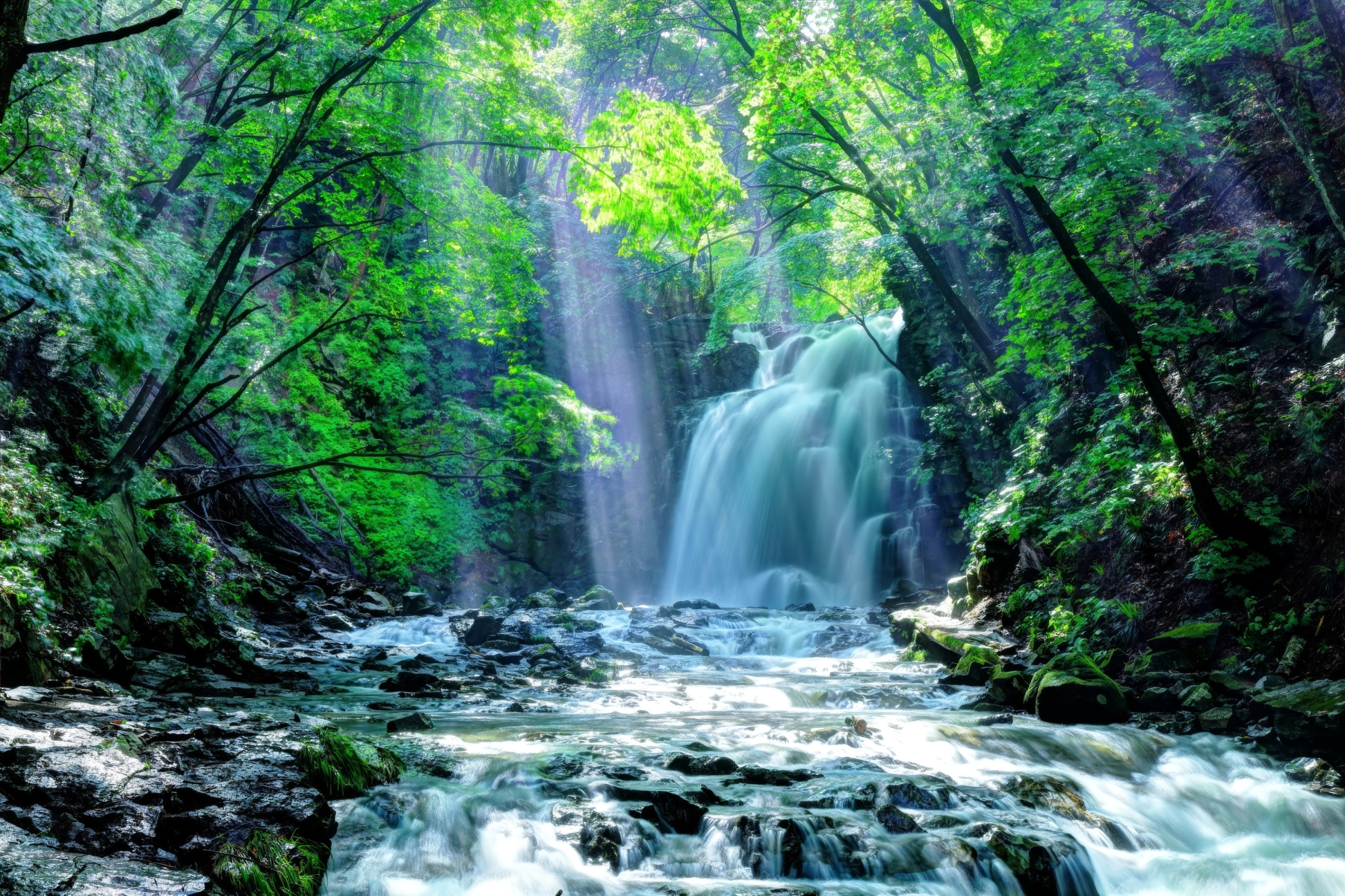 Фототапет Горски водопад