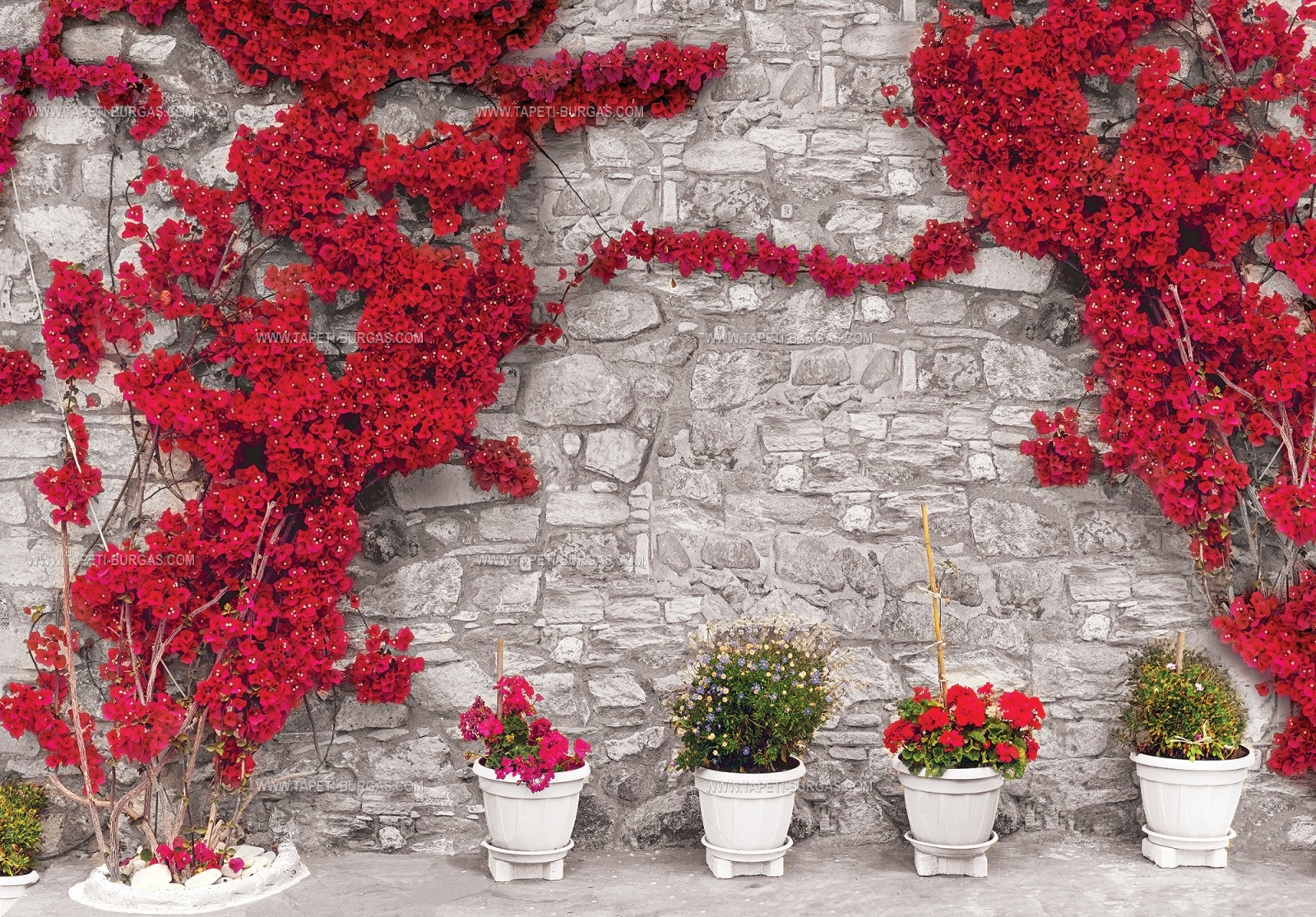 Фототапет Каменен зид с червен храст