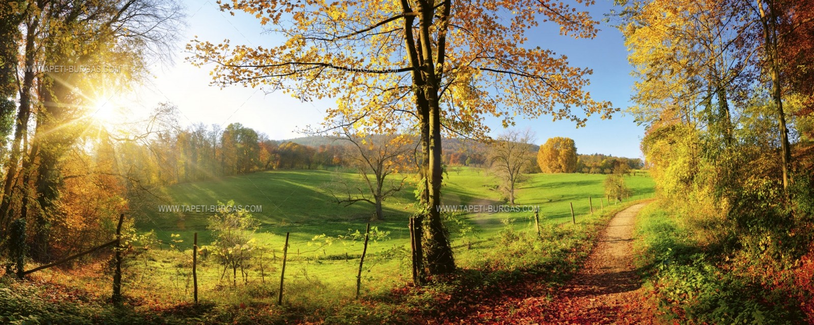 Флис Фототапет DIMEX Есенна пътека панорама