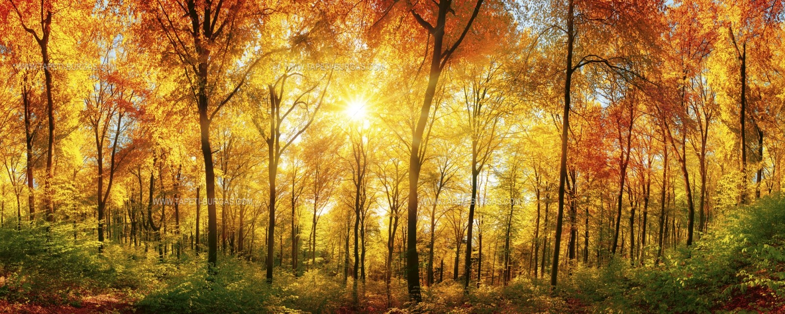 Фототапет Слънчева гора панорама