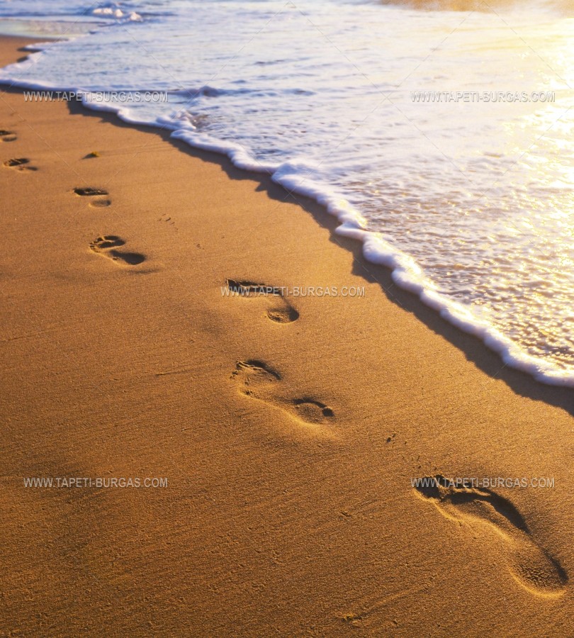 Флис Фототапет DIMEX Стъпки в пясъка