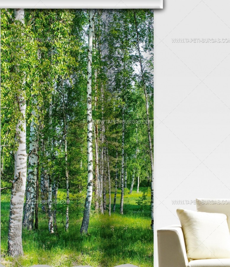 Декоративно плътно фото перде Брезова гора 