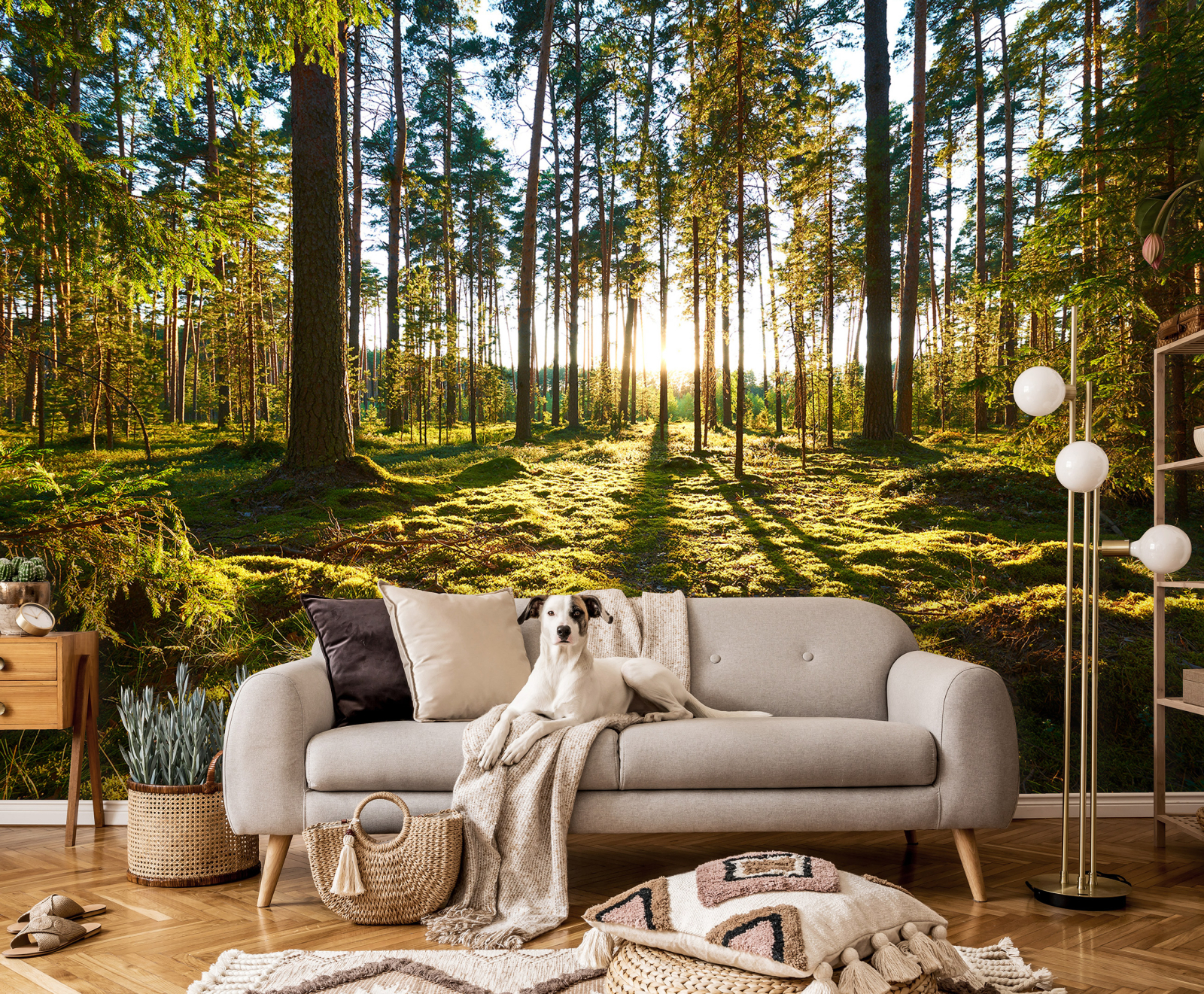 Фототапет от галерия