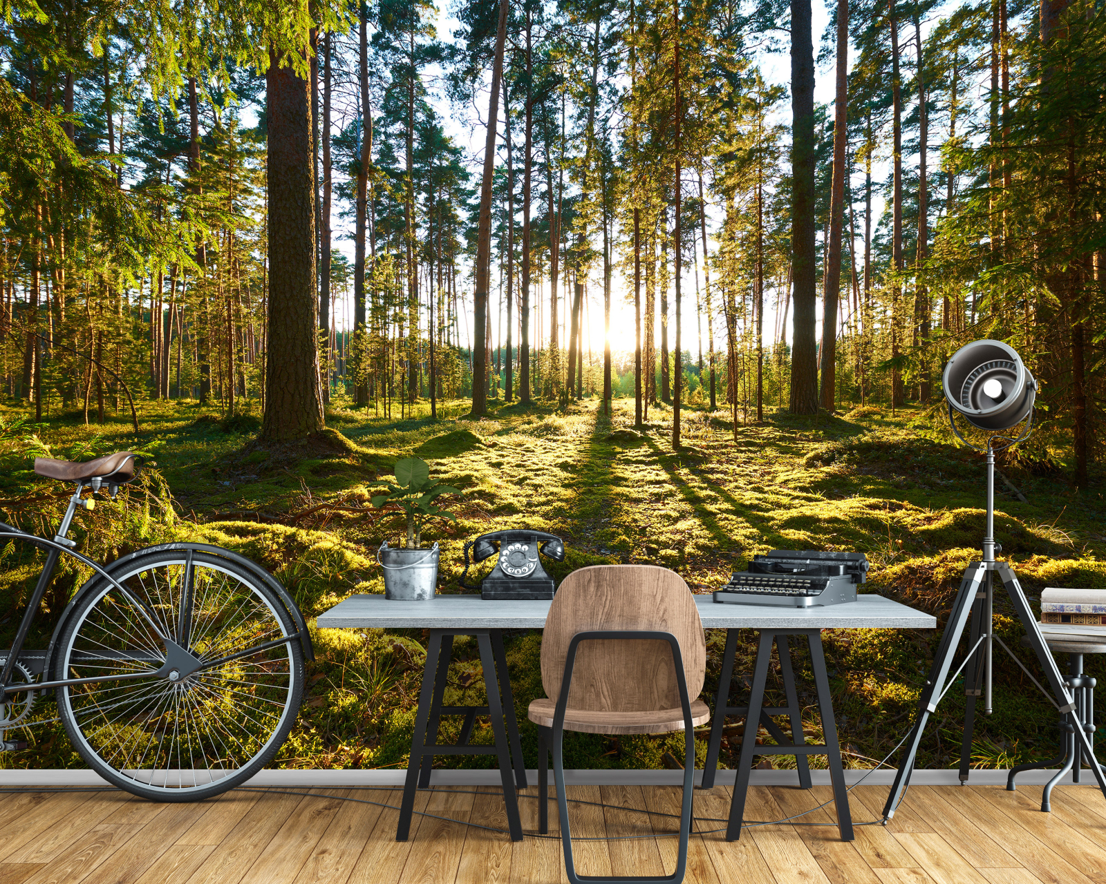 Фототапет от галерия