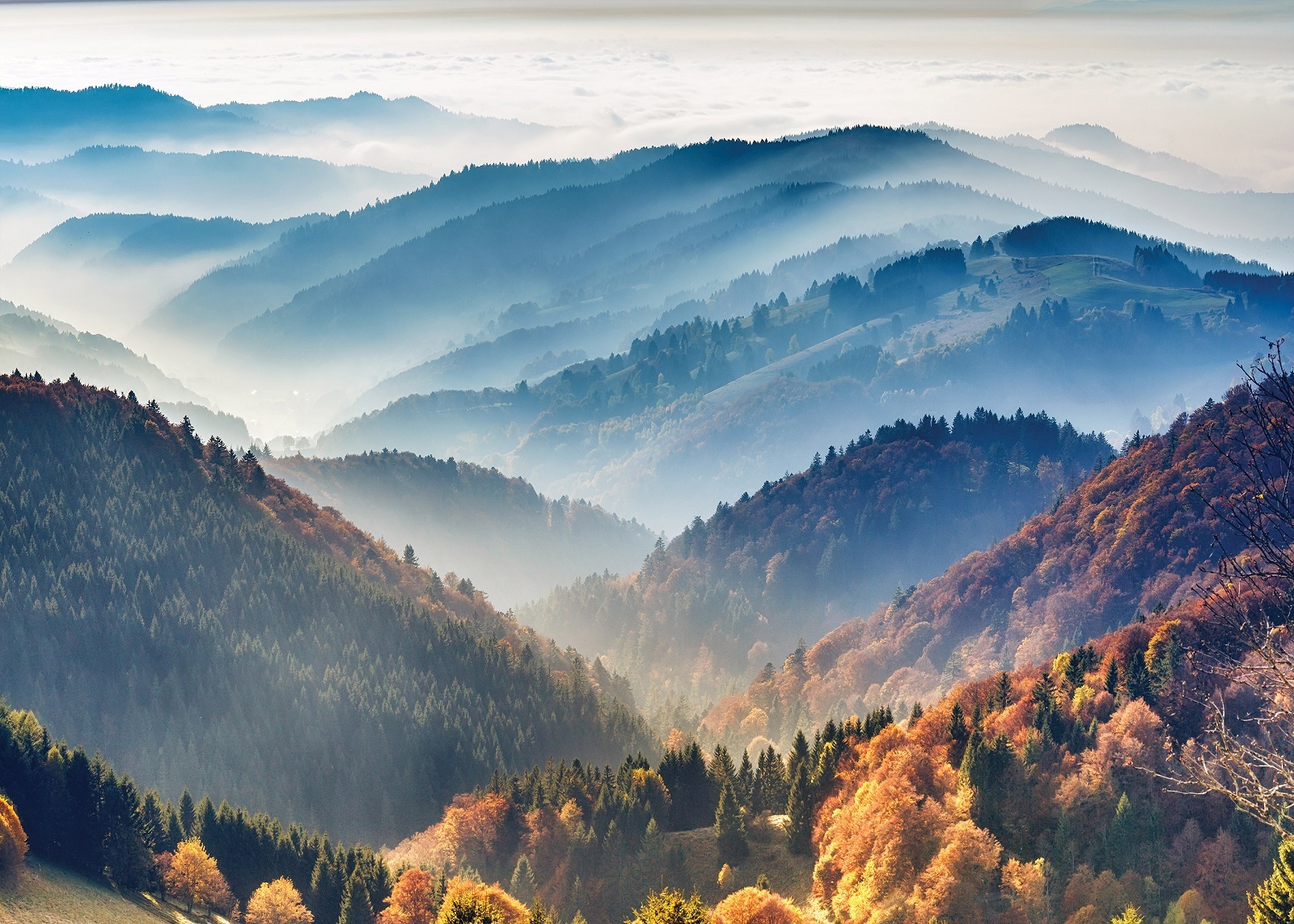 Флис Фототапет Панорама от високо в планината