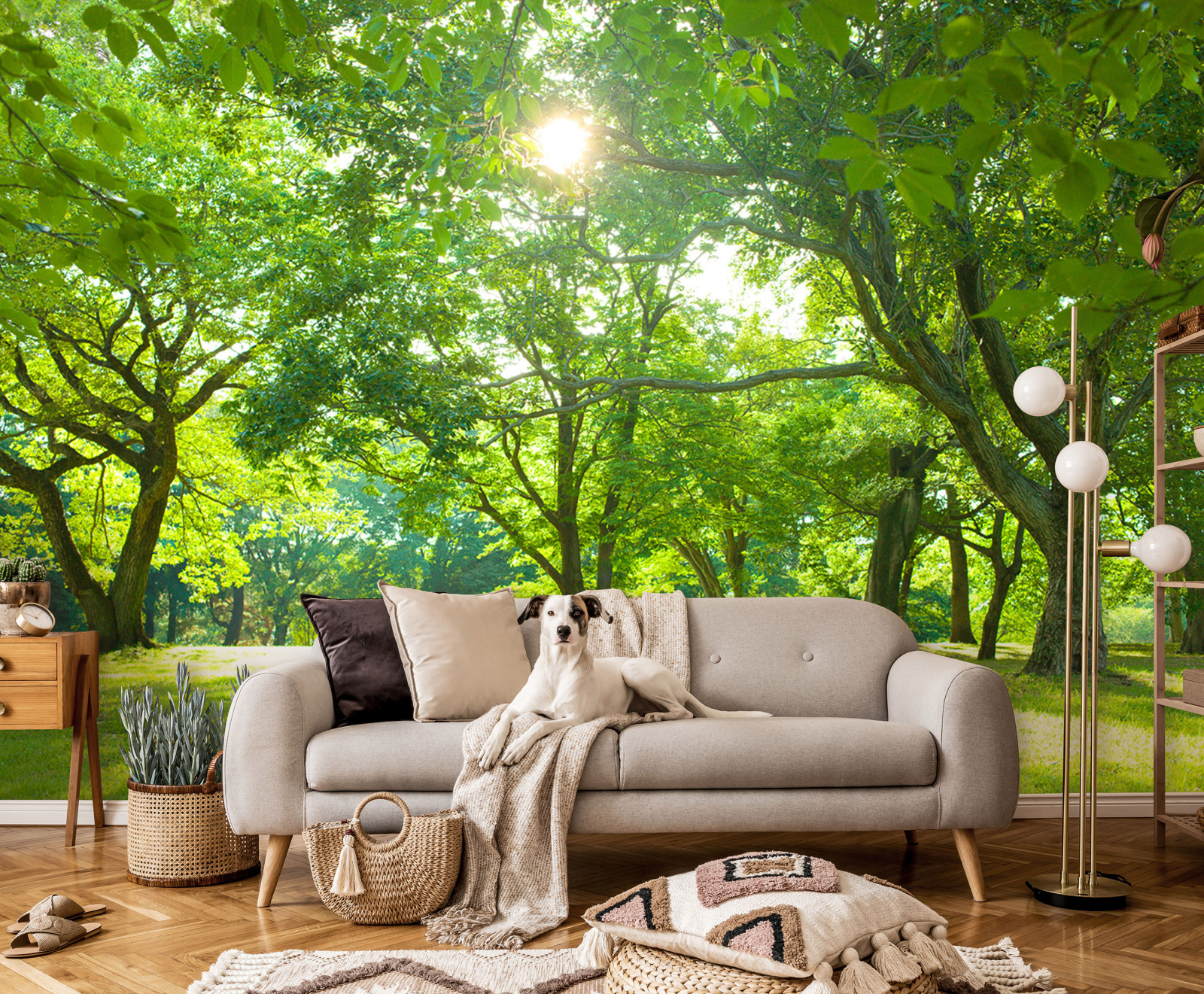 Фототапет от галерия