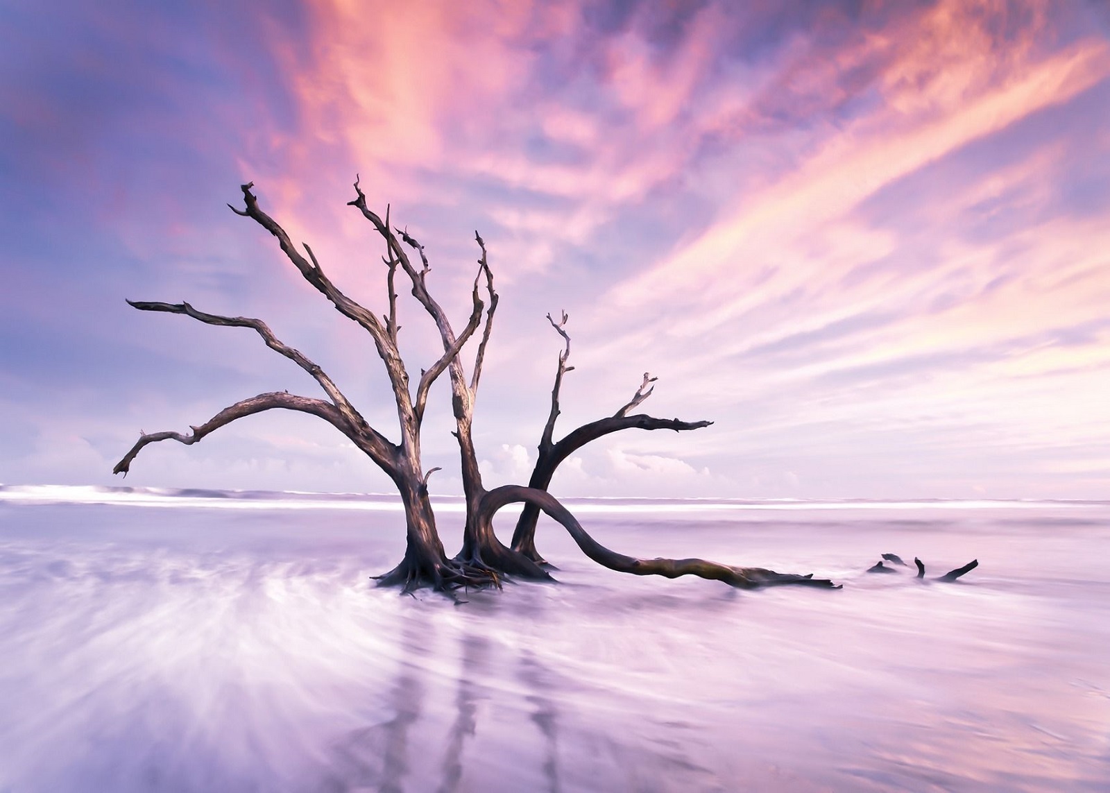 Фототапет Самотно дърво в морето