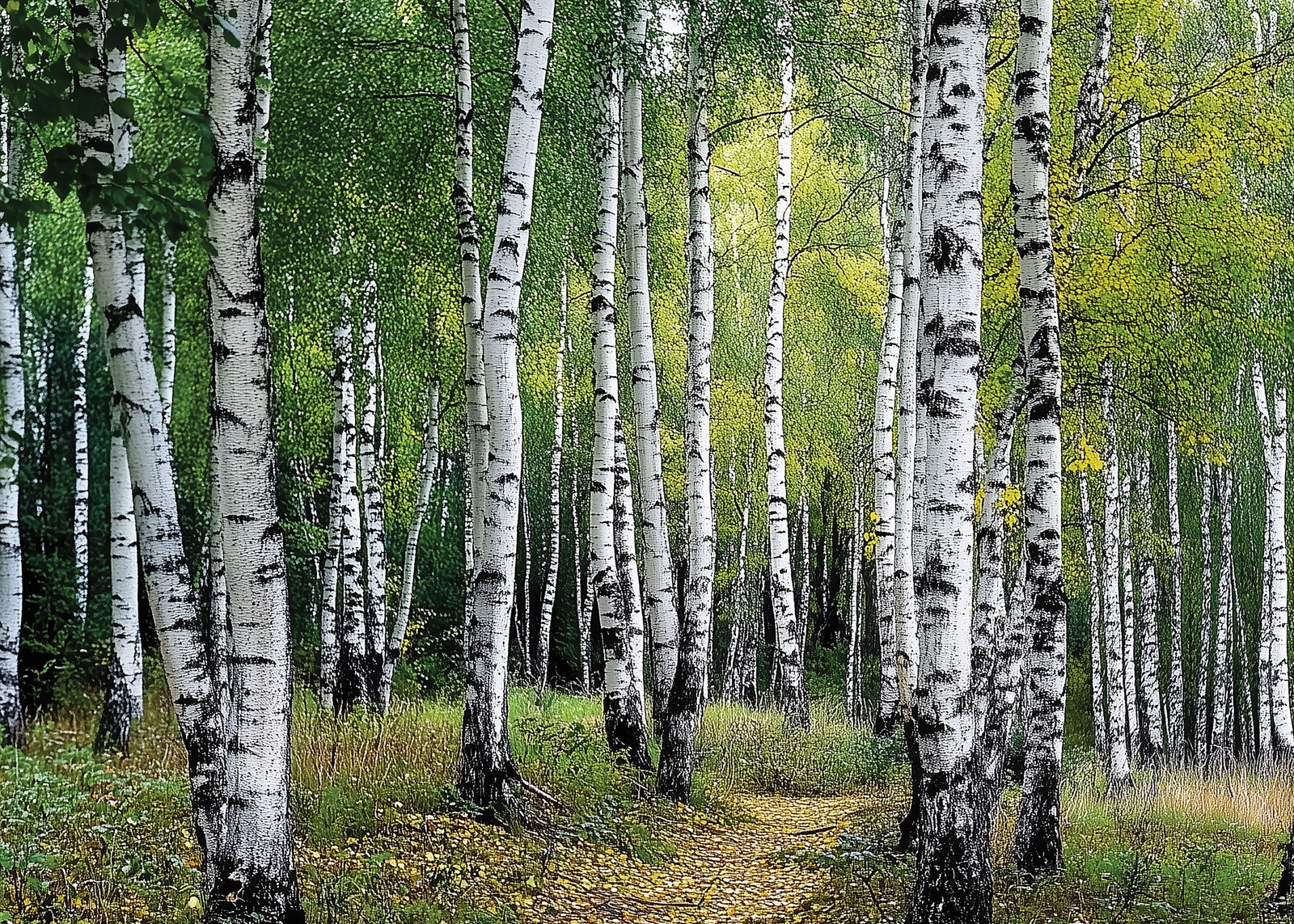 Флис Фототапет Брезова гора, акварел