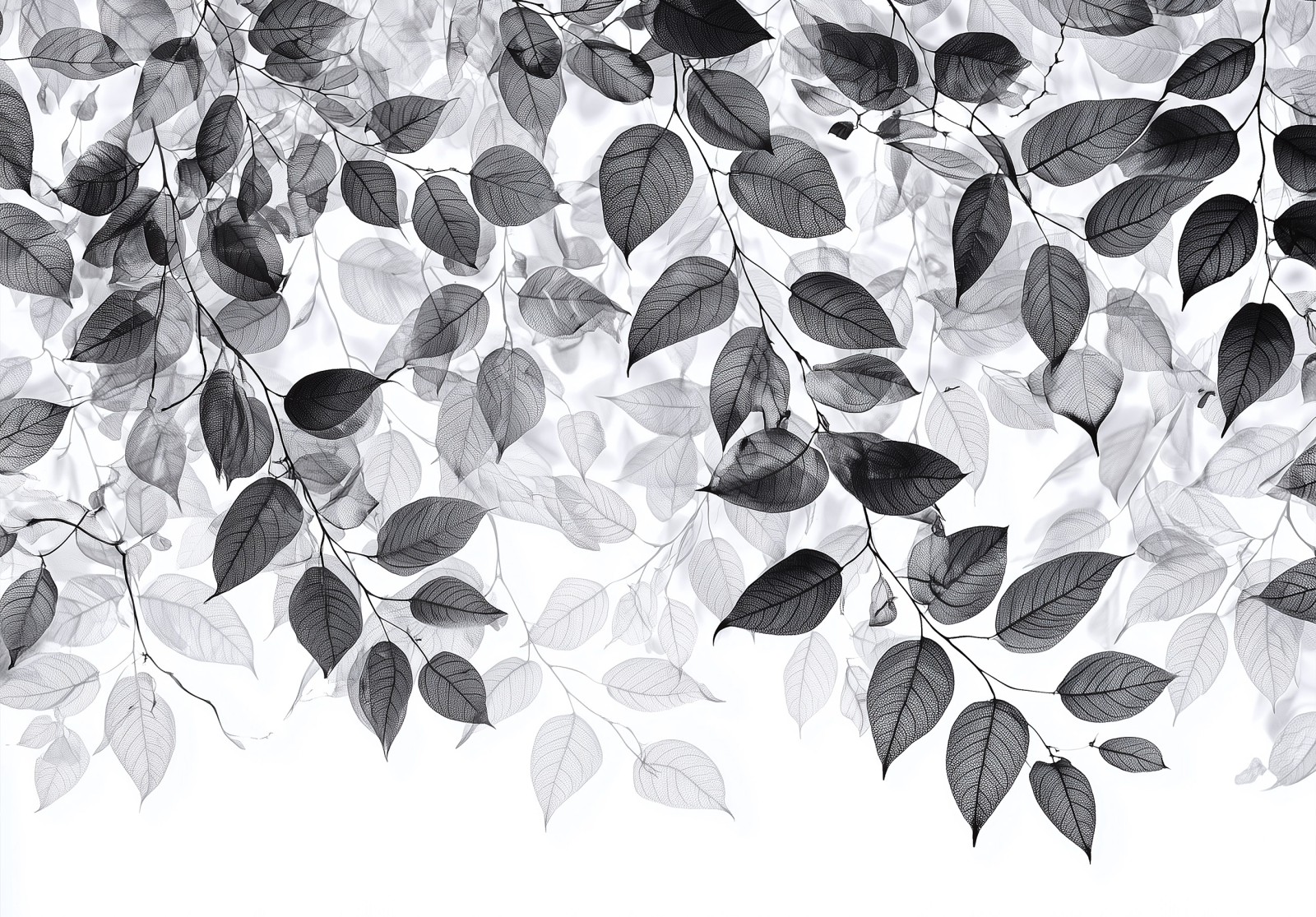 Фототапет Прозрачни листа – графична илюстрация