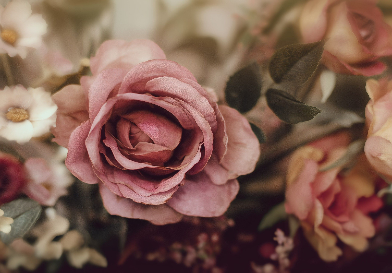 Фототапет Романтична роза – фотографски стил