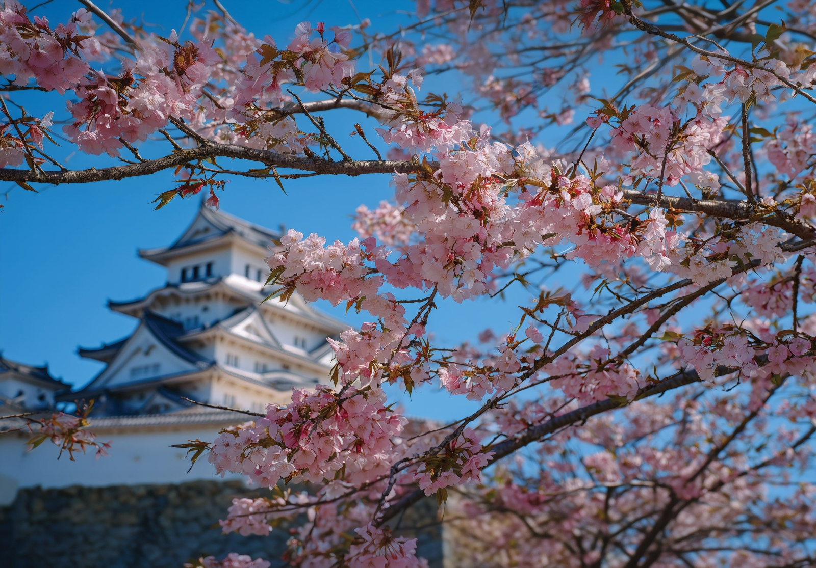 Флис Фототапет  Замъка Химеджи (Himeji Castle), Япония през пролетта 