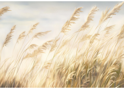 Флис Фототапет Нежни тръстикови треви, художествен стил