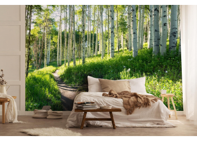 Фототапет от галерия