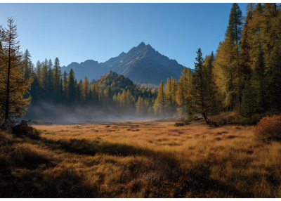 Фототапет Планински пейзаж с утринна мъгла и есенна гора