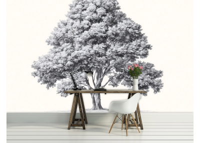 Фототапет от галерия