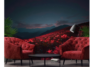 Фототапет от галерия