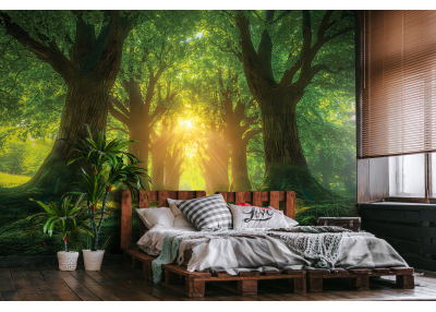 Фототапет от галерия