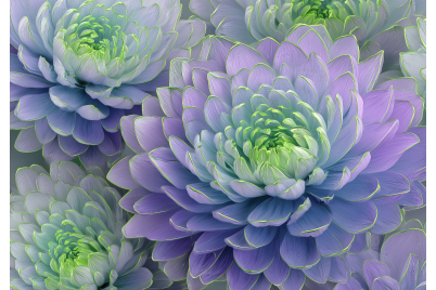 Фототапет Лилави божури със зелен контур – декоративен стил