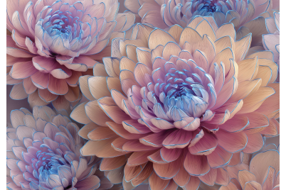 Фототапет Прасковени божури със син контур – декоративен стил