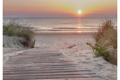 Фототапет Плажна пътека към морето