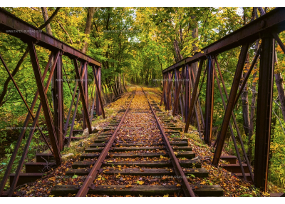 Флис Фототапет DIMEX Железопътна линия в гората