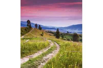 Фототапет от галерия