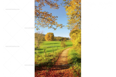 Флис Фототапет DIMEX Есенна пътека
