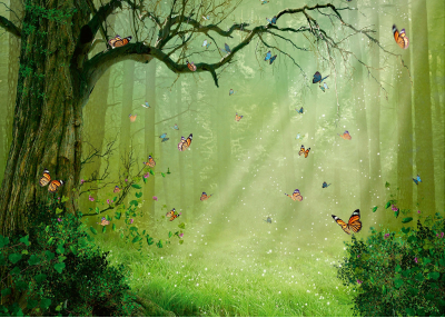 Детски Флис Фототапет Forest animals Вълшебната гора