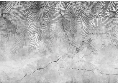 Фототапет Сиви тропически листа