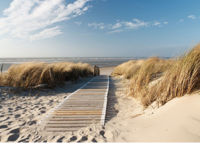 Флис Фототапет Дървена пътека през дюните