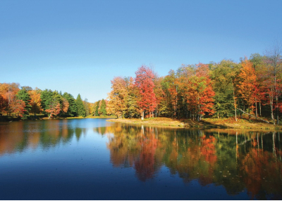 Флис Фототапет Dunn state park Gardner Massachusetts