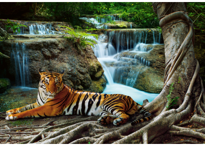 Флис Фототапет Тигър в покой край водопада