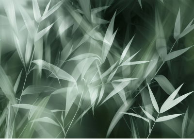 Флис Фототапет LEAVES Зелена феерия от нежни листа