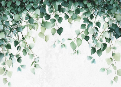Фототапет Композиция от листа зелено