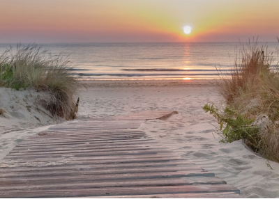 Фототапет Плажна пътека към морето