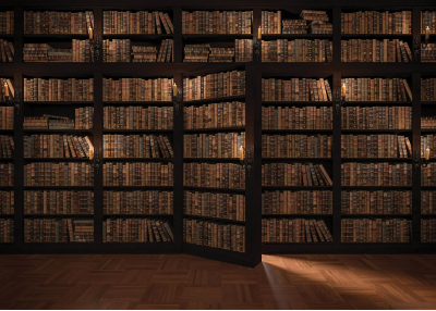 Флис Фототапет Винтидж библиотека