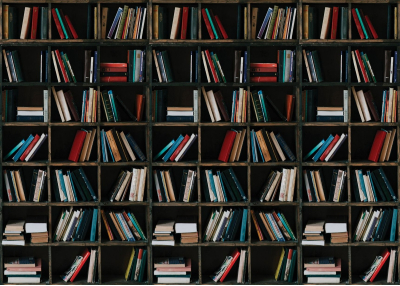 Флис Фототапет Винтидж библиотека