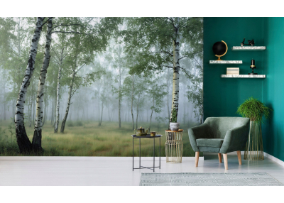 Фототапет от галерия