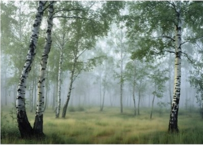 Флис Фототапет Брезова гора, акварел Флис Фототапет Брезова гора, акварел