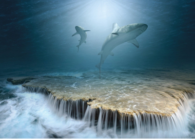 Флис Фототапет Water world Акули