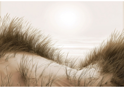 Фототапет Морски дюни в мъгла