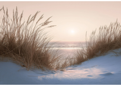 Фототапет Морски изгрев в дюни