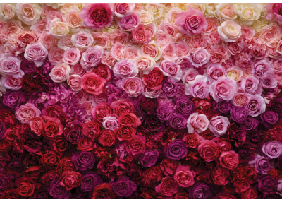 Флис Фототапет ROSES Рози