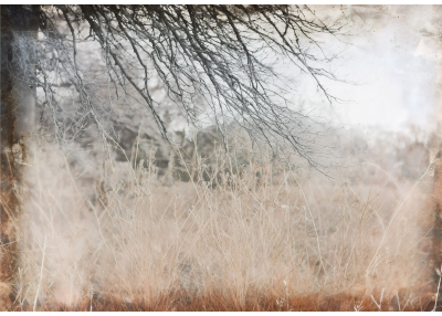 Флис Фототапет LEAVES художествено пано 