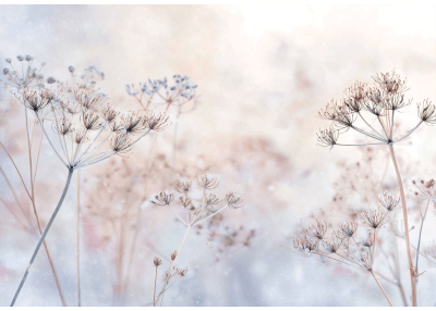 Флис Фототапет FLOWERS художествено пано Флис Фототапет FLOWERS художествено пано