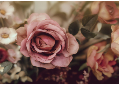 Фототапет Романтична роза – фотографски стил