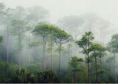 Флис Фототапет   Гора, мъгла, акварел